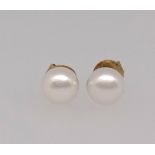 A pair of freshwater button pearl stud earrings, mounted on all yellow metal post fittings.