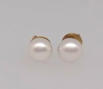 A pair of freshwater button pearl stud earrings, mounted on all yellow metal post fittings.