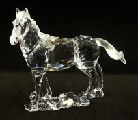 Swarovski, Stallion