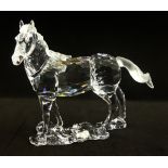 Swarovski, Stallion