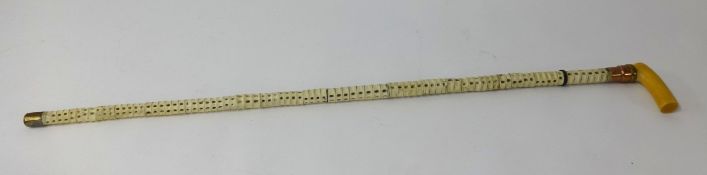A shark vertebrae walking stick, length 85cm.