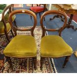 A set of five Victorian mahogany balloon back dining chairs.