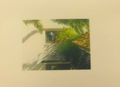 Peter Eastham (b. 1956), limited edition screen print 'Sintra Gardens 3' print number 23/250