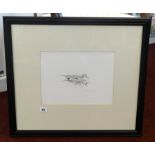 Robin Armstrong, 1996 signed pencil drawing of a Duck, 23cm x 30cm.