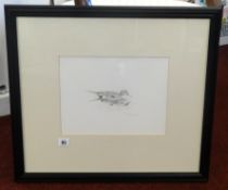 Robin Armstrong, 1996 signed pencil drawing of a Duck, 23cm x 30cm.