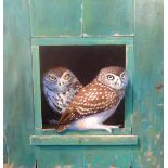 Alan Weston (current artist and illustrator based in Cornwall), oil on canvas 'Owls', signed, 50cm x