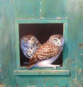 Alan Weston (current artist and illustrator based in Cornwall), oil on canvas 'Owls', signed, 50cm x