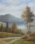 P.Wilson, 20th Century signed oil on canvas, 'Highland Landscape', 50cm x 40cm.