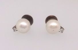 A pair of cultured pearl earrings.