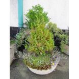 COMPOSITE STONE GARDEN PLANTER ON STAND AND CIRCULAR PLANTER (BOTH WITH CONTENTS)