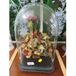 BASKET ARRANGEMENT OF FRUIT AND FOLIAGE UNDER GLASS DOME