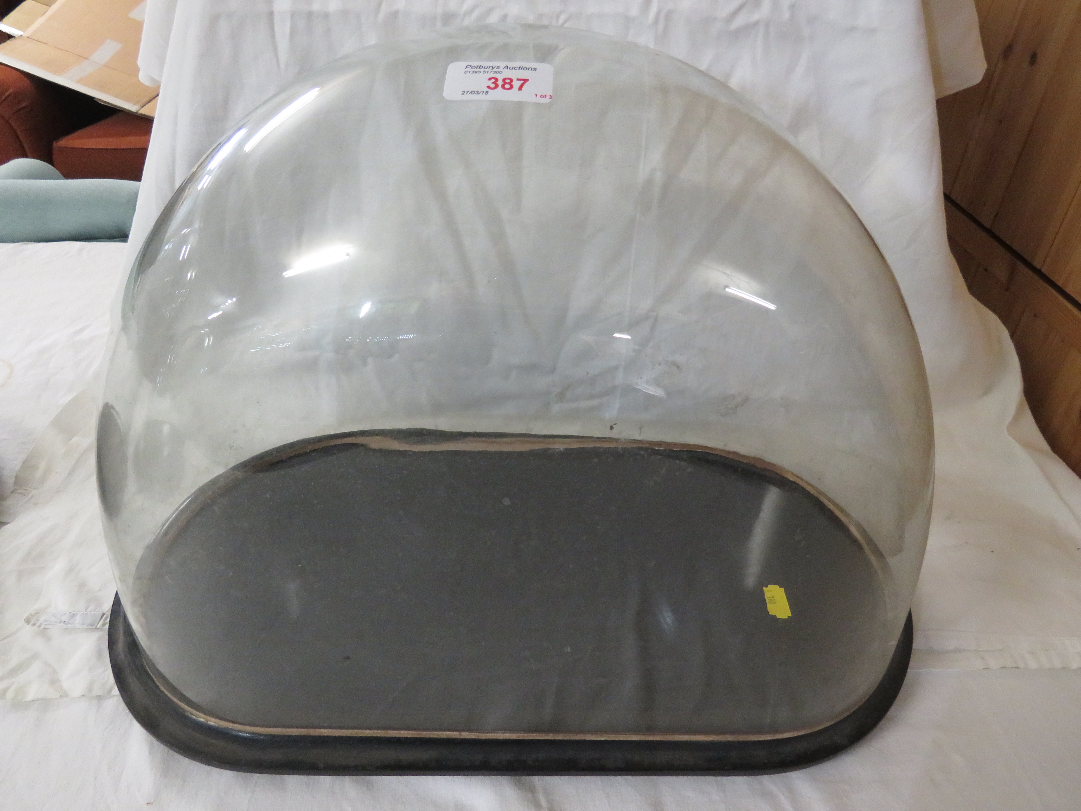 Three glass display domes suitable for taxidermy etc, each on ebonised bases, dimensions ( - Image 2 of 4