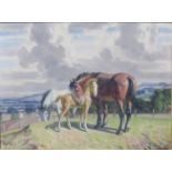 Harold Dearden (1888-1962) - two horses and foal on hill top with town beyond, oil on canvas, signed