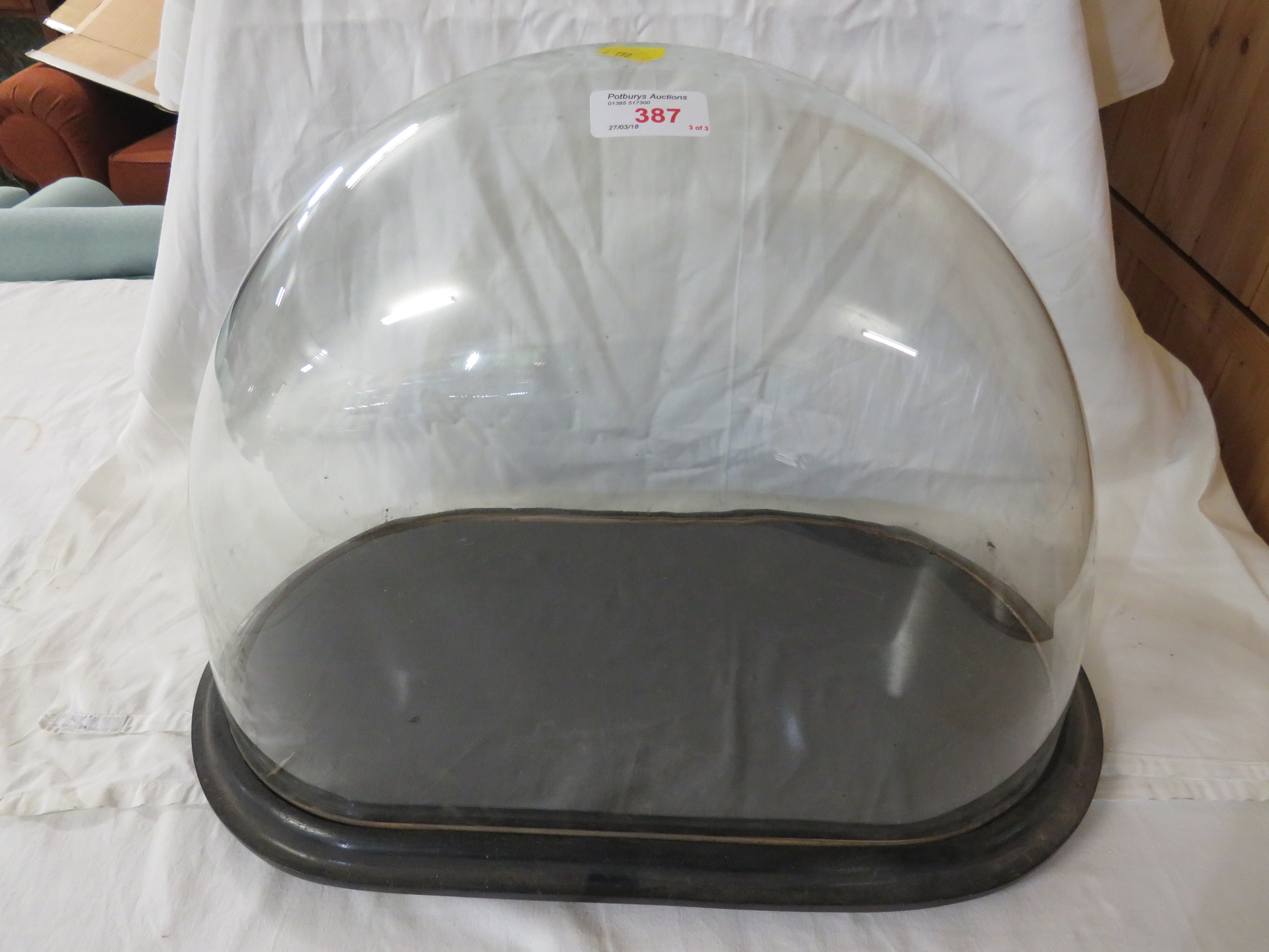 Three glass display domes suitable for taxidermy etc, each on ebonised bases, dimensions ( - Image 4 of 4