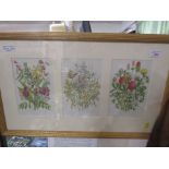 FRAMED AND MOUNTED TRIO OF BOTANICAL PRINTS