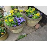 TWO LARGE CIRCULAR PLANTERS WITH ROSE HEAD DECORATION FILLED WITH PANSIES AND PRIMULA