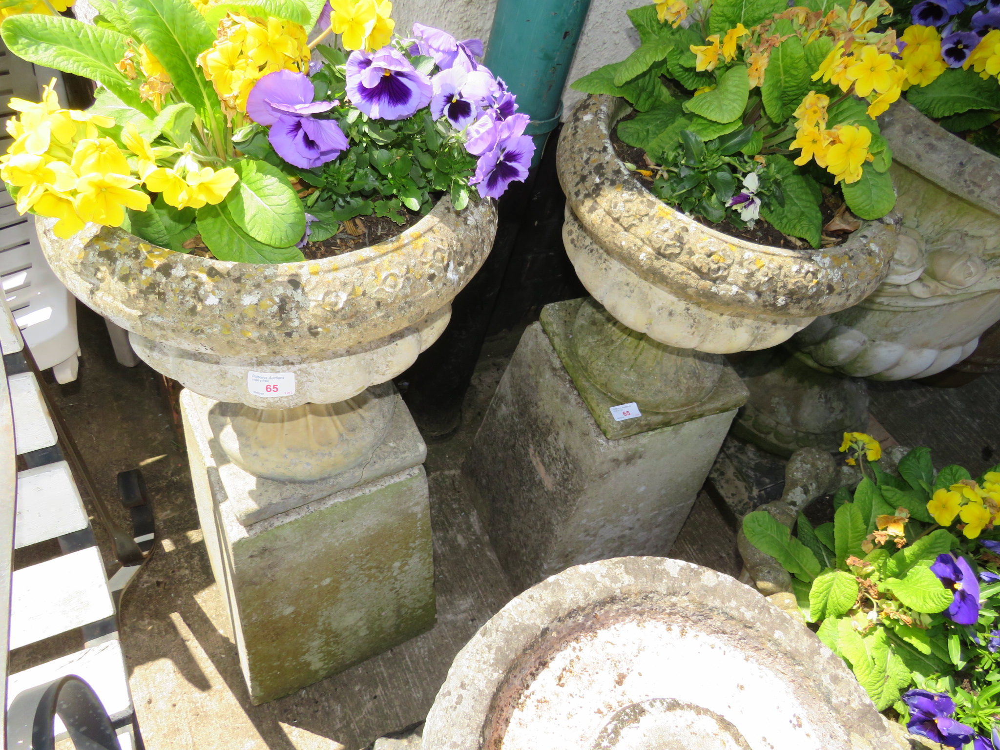 PAIR OF CIRCULAR PLANTERS STANDING ON SQUARE TAPERING PLINTHS WITH CONTENTS OF PANSIES AND PRIMULA