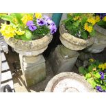 PAIR OF CIRCULAR PLANTERS STANDING ON SQUARE TAPERING PLINTHS WITH CONTENTS OF PANSIES AND PRIMULA