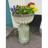 LARGE REEDED CIRCULAR PLANTER STANDING ON FLUTED COLUMN FILLED WITH PANSIES AND PRIMULA