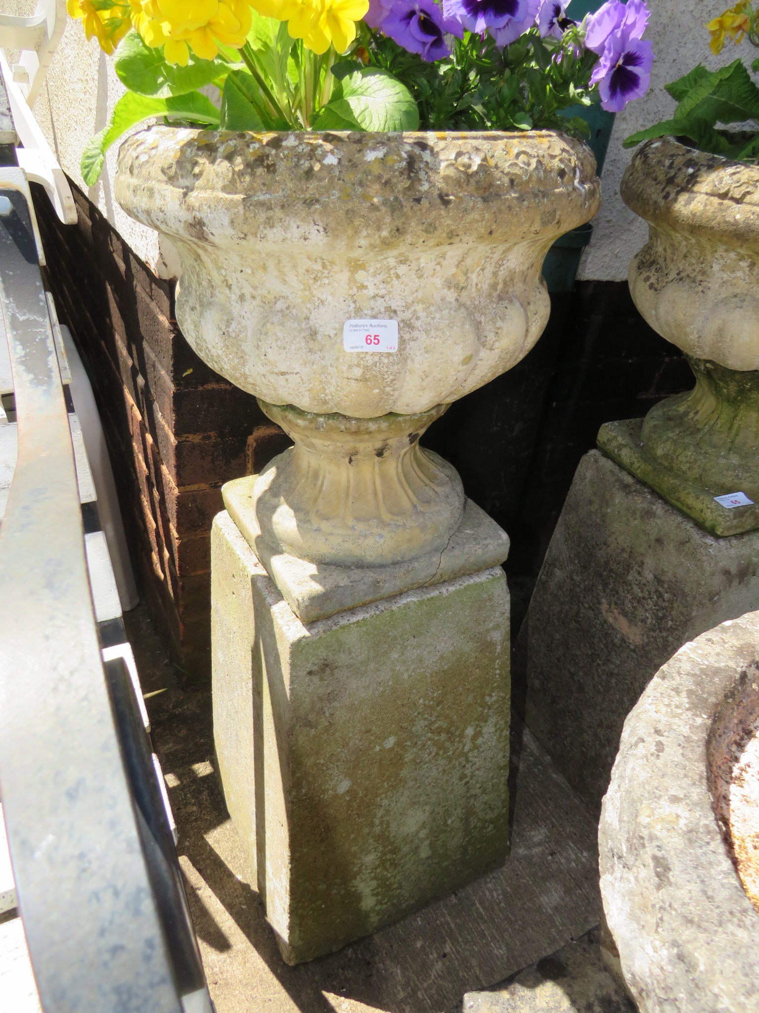 PAIR OF CIRCULAR PLANTERS STANDING ON SQUARE TAPERING PLINTHS WITH CONTENTS OF PANSIES AND PRIMULA - Image 2 of 3