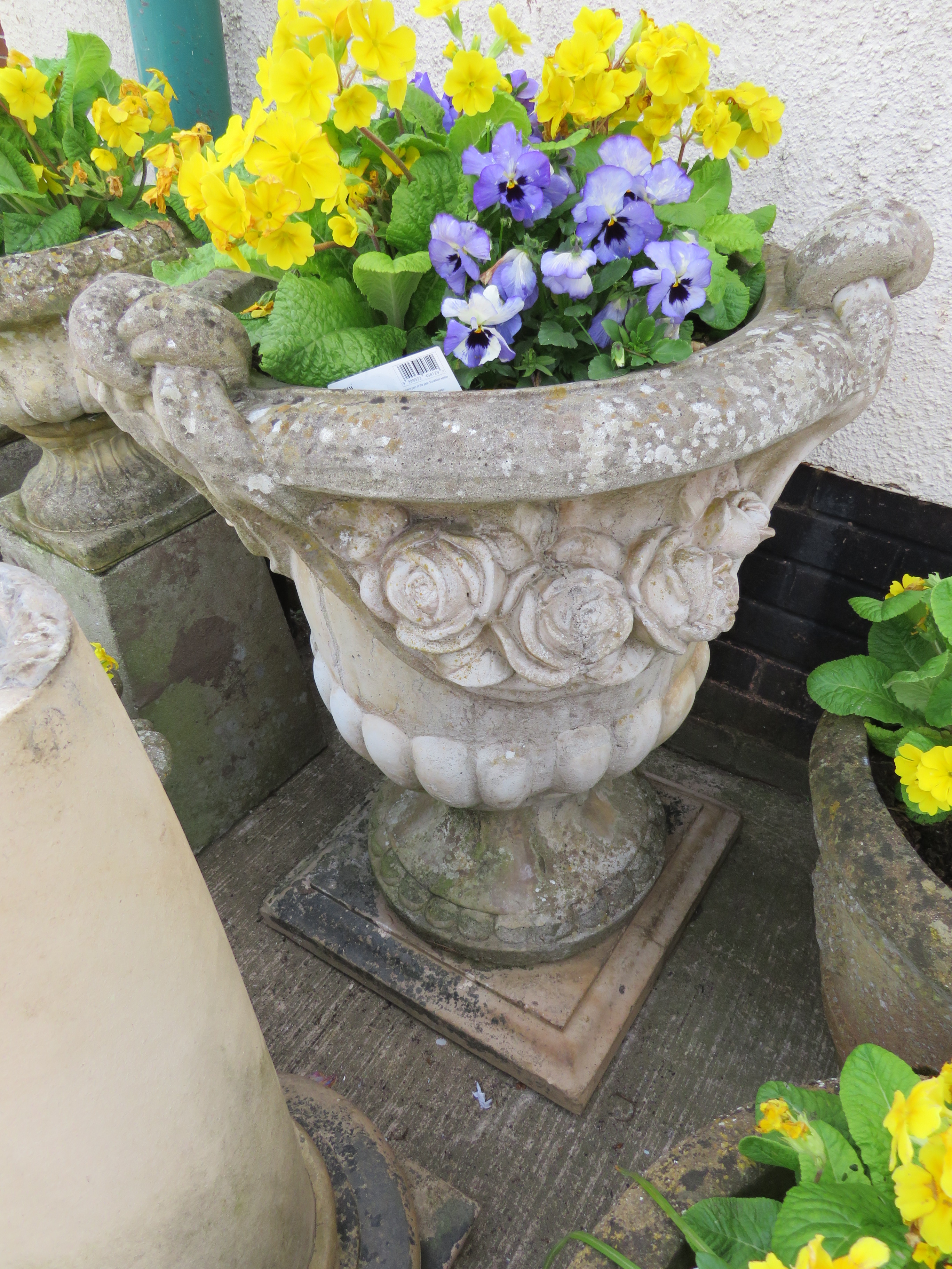 VERY LARGE URN WITH ROSE DECORATION STANDING ON SQUARE FLAT PLINTH WITH CONTENTS OF PANSIES AND