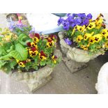 TWO CIRCULAR POTS DECORATED WITH ACANTHUS LEAVES WITH CONTENTS OF PANSIES AND PRIMULA