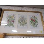 FRAMED AND MOUNTED TRIO OF BOTANICAL PRINTS