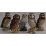 Five Royal Doulton Whyte & Mackay 200ml whisky decanters modelled by John G. Tongue as owls with