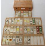 A collection of thirty-eight natural history microscope slides, contained in a wooden box of seven