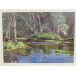 Ray Balkwill (b 1948) - Reflection Squabmoor pond, pastel, signed in pencil lower right, (26cm x