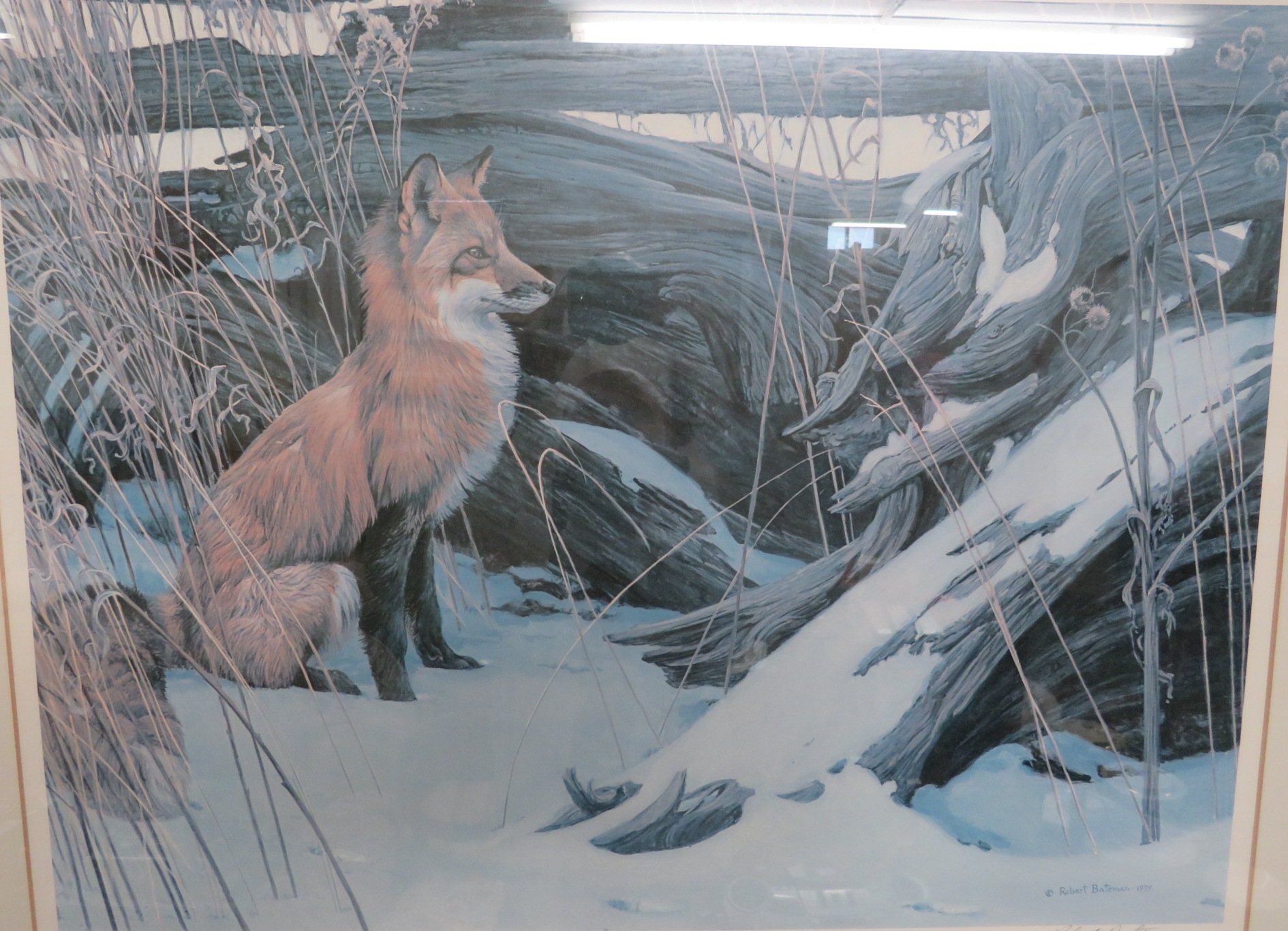 ENDORSED LIMITED EDITION PRINT OF FOX IN SNOW AFTER ROBERT BATEMAN, 931 / 950