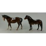 Beswick Exmoor Pony 1645, and mare 976,