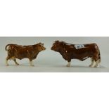 Beswick Limousin Bull 2463B and cow 3075B