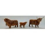 Beswick Highland family to consist of Bull 2008,