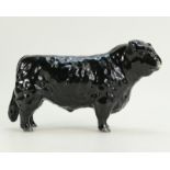 Beswick black Galloway bull 1746A