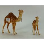 Beswick large Camel 1044 (one leg broke) and Camel Foal 1043