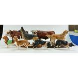 Good job lot group of 8 x Doulton & Beswick (all boxed) animals comprising;