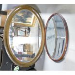 Two Bevel edged oval wall mirrors(2)