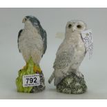 Royal Doulton Whyte and Mackay Barn Owl,