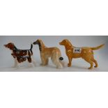 Beswick Labrador 1548, Afgan Hound 2285, Beagle 1933A,