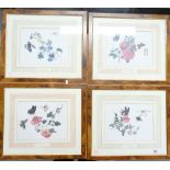 A series of four botanical prints "The Reeves Collection" (4)