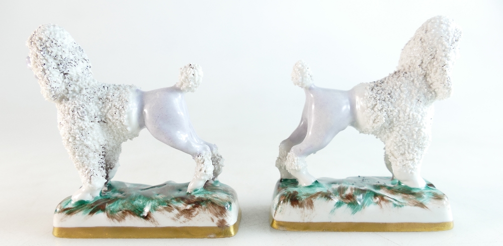 A pair of Chelsea/Samson porcelain French poodles. - Image 3 of 3