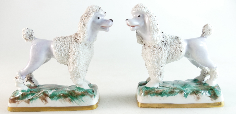 A pair of Chelsea/Samson porcelain French poodles.