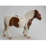 Beswick skewbald Shetland pony Hollywell Dixie, collectors club special 1995,