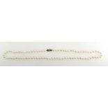 Pearl necklace with 9ct gold clasp