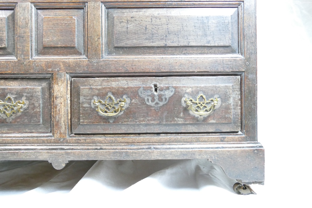 Early 19th century panelled oak two drawer coffer, w115 x d58 x h99cm. - Image 9 of 10