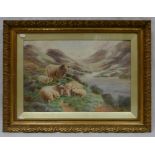 John Shirley Fox, watercolour painting of sheep in highland in gilt frame,