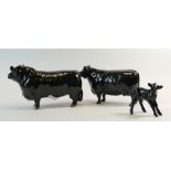 Beswick Aberdeen Angus Family comprising Bull 1562,