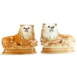 Pair early 20th century mantlepiece Staffordshire lions with glass eyes,