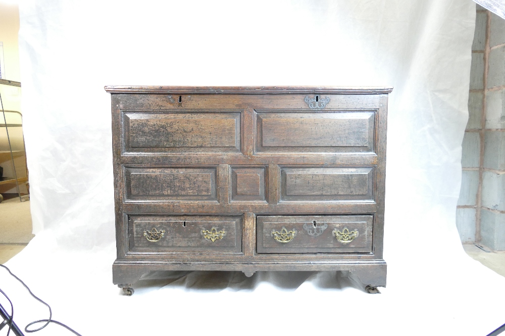 Early 19th century panelled oak two drawer coffer, w115 x d58 x h99cm. - Image 4 of 10